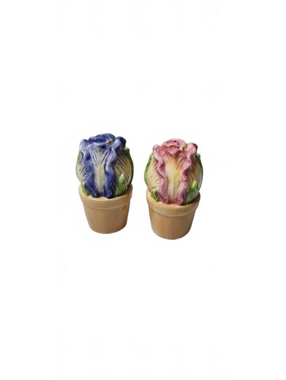 Mini Flower Pot Salt and Pepper Shakers